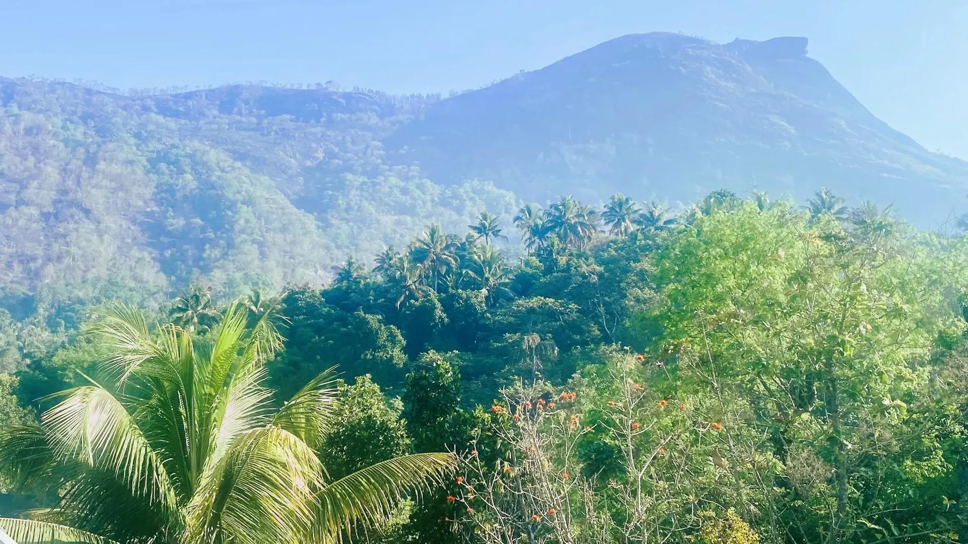 7S Castle Munnar Mountain View Homestay Anaviratty