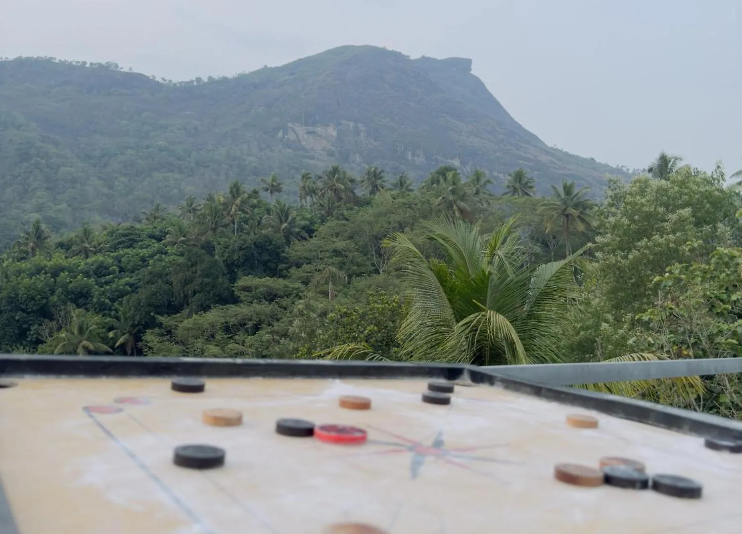 7S Castle Munnar Mountain View Homestay Anaviratty