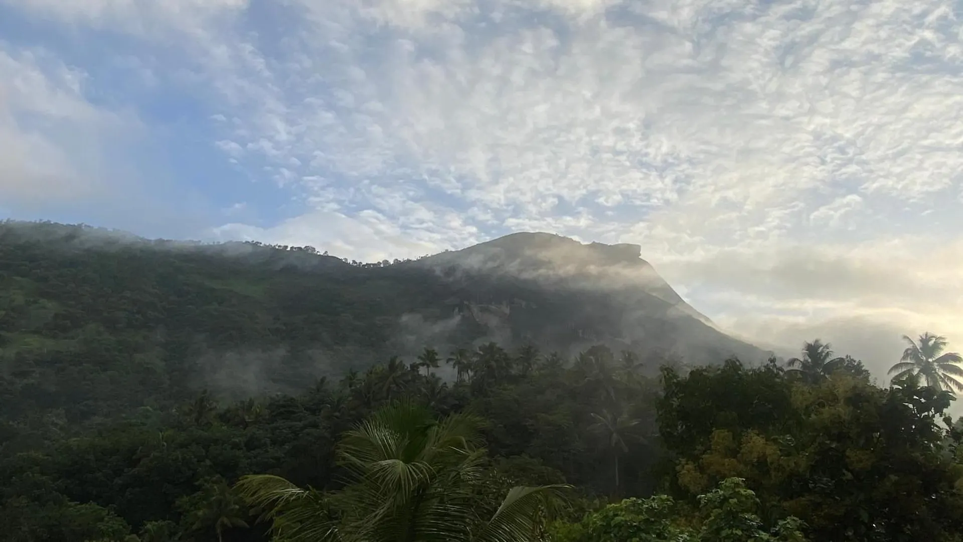 7S Castle Munnar Mountain View Homestay Anaviratty India
